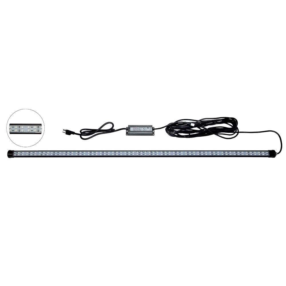 Hydro Glow 4' LED DockMaster 2000K Amber LED 120V - Professional Marine & Fishing Gear