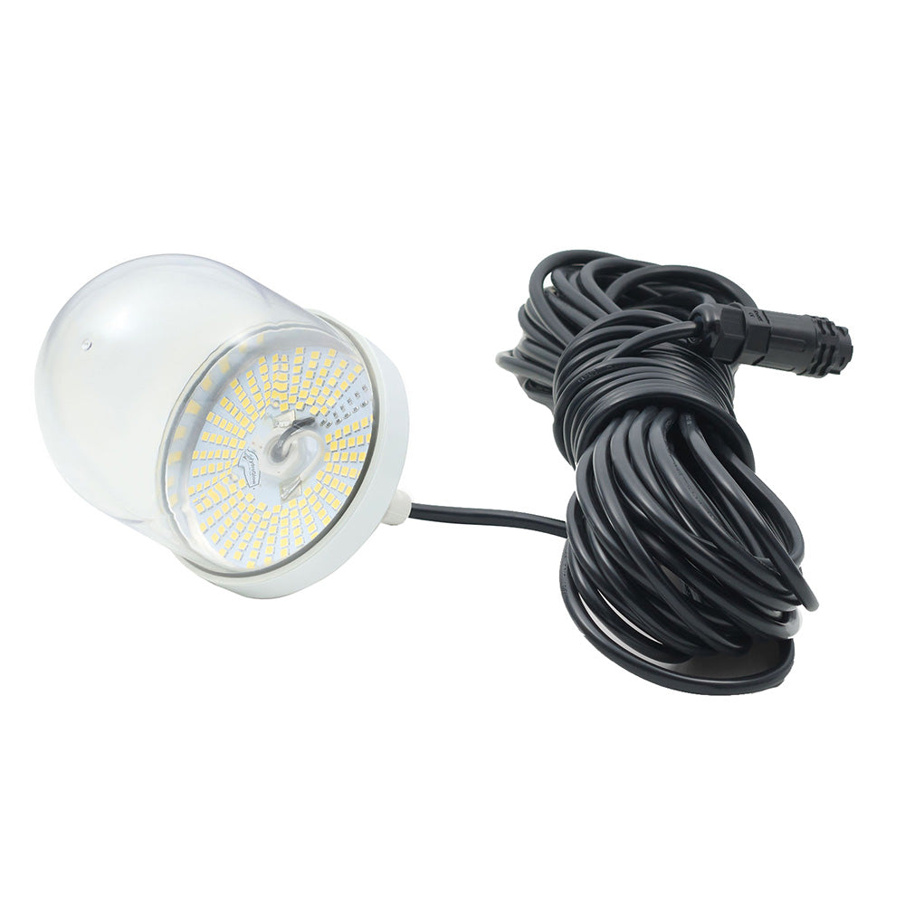 Hydro Glow 200W LED Underwater Dock Light 5000K - Daylight White - Professional Marine & Fishing Gear